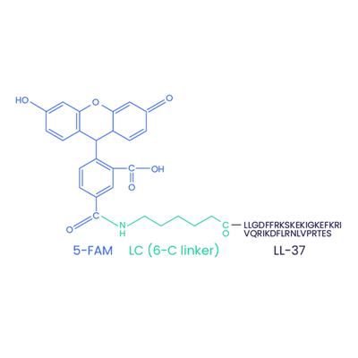5-FAM-LL-37 (brouillé) CAS 2022972-73-0